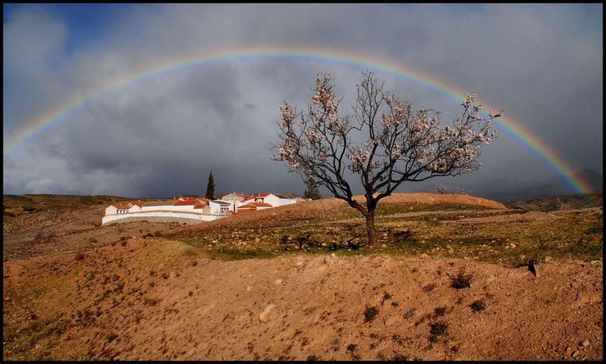 B&B Los Lujos Oria Dış mekan fotoğraf